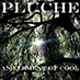 PLUCHE: An Element Of Cool