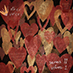 Other Voices: Series 11 vol.2