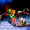 Swallows and Amazons opens with a 5-star review