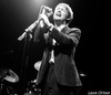 the Divine Comedy - St Vicar - le ch'mon blog