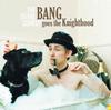 Album: The Divine Comedy, Bang Goes The Knighthood (DCR) - Reviews, Music & Gigs - Belfasttelegraph.