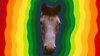 My Lovely Horse