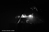 Live report : The Divine Comedy - Bruxelles, Nuits Botanique - 12.05.2012 - Sound Of Violence