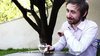 THE DIVINE COMEDY, An Evening with Neil Hannon