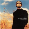  THE DIVINE COMEDY [A Secret History : The Best Of The Divine Comedy]× XSILENCE.NET ×