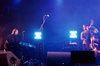 SDEP - La Route du Rock 02