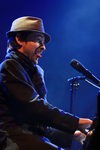 Photos : The Divine Comedy - Pully, For Noise Festival - 24.08.2012 - Sound Of Violence