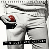 The Duckworth Lewis Method - It's Just Not Cricket