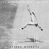 The Duckworth Lewis Method - Sticky Wickets | The Rorschach Test