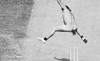The Duckworth Lewis Method - 'Sticky Wickets'