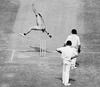 Cricket's big question:Where is streaker Michael Angelow?