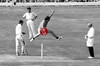 Wanted: The 1975 Lord's Streaker