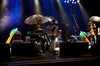 The Duckworth Lewis Method