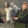 Irish Parliament turns down petition to make Father Ted's 'My Lovely Horse' Ireland's Eurovision...