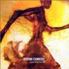 The Divine Comedy - Love What You Do