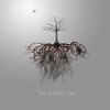 The Scarlet Oak