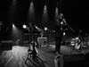 The Divine Comedy – 11/02/2015 – La Philharmonie de Paris, Paris | Sous la neige