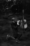 The Divine Comedy 11/02/15 ⋆ PhotoConcert