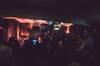 Culture Vultures 1st birthday with Neil Hannon