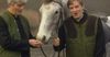 VIDEO: Neil Hannon sang 'My Lovely Horse' at Electric Picnic and it's just wonderful | JOE.ie