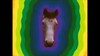 Neil Hannon Sings 'My Lovely Horse' At Electric Picnic!! - Music Ireland