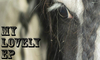 Neil Hannon & Duke Special duet on My Lovely Horse Rescue EP | Music | News | Hot Press