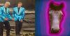 Entering this brilliant Father Ted-themed competition might be your best chance of getting Electric Picnic tickets | JOE.ie