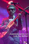 Amb i de Raimon: The Divine Comedy, Vida Festival, Masia d'en Cabanyes, Vilanova i La Geltrú, 02-07-2016
