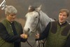 Fr Ted reunion to take place at Electric Picnic in search for new 'My Lovely Horse' song - Independent.ie