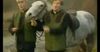 My Lovely Horse singer Neil Hannon on the enduring appeal of the song and Father Ted - Irish Mirror Online