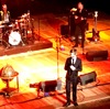 The Divine Comedy -  Music-News.com