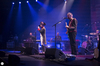 The Divine Comedy. Barcelona. 08/02/17: Un dandy en el Palau de la Música. | cultura y algo más
