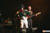 The Divine Comedy at Bord Gais Energy Theatre • Gig Photos