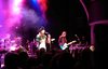 our night out: The Divine Comedy (18.02.2017, Mojo Club Hamburg) | kleine Meise - großes Herz