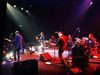 Stream The Divine Comedy live at Folies Bergère | Simon Little