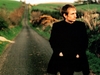 Due date in Italia per i Divine Comedy - Indie-Rock.it