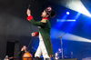 The Divine Comedy - Kulturarena Jena 26.07.2017 | BILDPAUSE