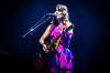 BSF 2017: Feist, The Divine Comedy - Taart in twee lagen | daMusic