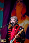 hotpress.com - Photo Gallery - The Divine Comedy and Hudson Taylor at Electric Picnic 2017, Friday