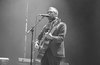 The Divine Comedy y Kokoshca culminan el Donostia Kutxa Kultur Festibala – Oceaund