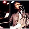 musica ascoltata musica scritta: A Torino la divina commedia di Neil Hannon