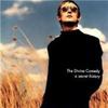 Music I want my Children to Listen to: The Divine Comedy « TheBoyandMe