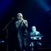 The Divine Comedy Review - Brighton Source