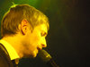 Muzikalia.com - Concierto de The Divine Comedy + Cathy Davey + El Brinador en Zaragoza