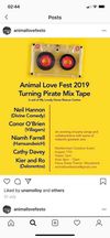 South Dublin residents outraged after being kept up late by local music festival - Dublin Live