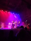 THE DIVINE COMEDY – LIVE AT ULSTER HALL 7.10.2019 | Analogue Boy In A Digital World