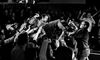 The Divine Comedy Gig | WALL of SOUND