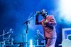 The Divine Comedy Review - Brighton Source