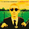All Back to Vinyl with Richard Purden - The Divine Comedy | The Edinburgh Reporter