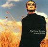La elegancia Pop de The Divine Comedy en la década de los noventa – losrestosdelconcierto